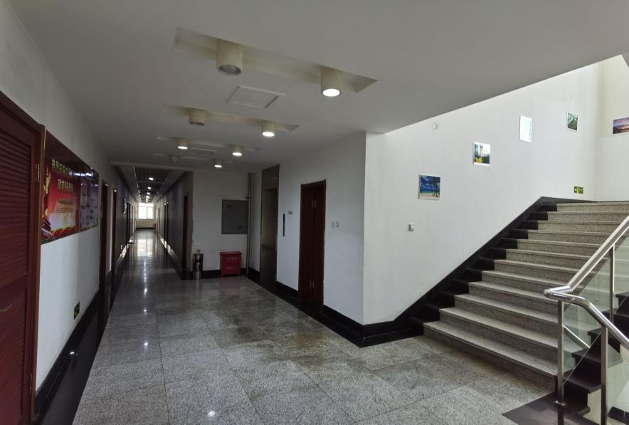 伟德国际1946招聘    招  聘(图3)